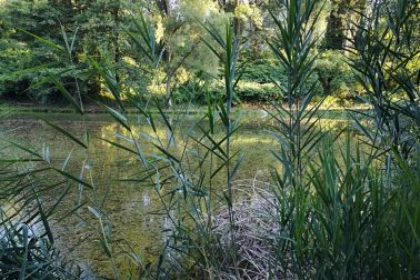 IMG_20180714_191215_resized_20180715_121440979