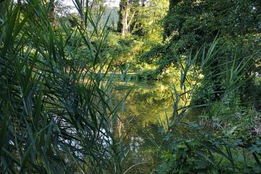 IMG_20180714_191247_resized_20180715_121507496