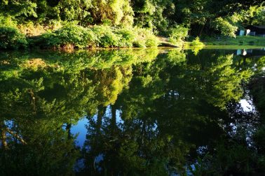 IMG_20180714_191348_resized_20180715_121518335