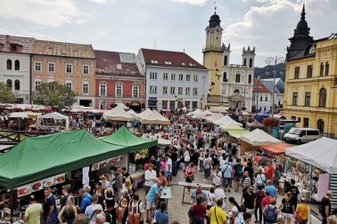 IMG_20180908_121300_resized_20180908_050049070