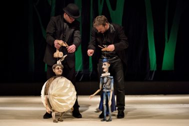 dlhy,siroky,bystrozraky