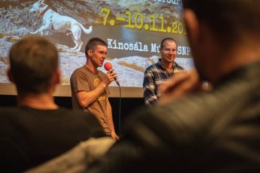 46134636_304496146819106_2695187098880704512_n