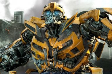 Bumblebee1