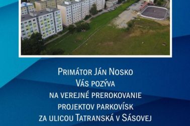 plagat parkoviska v sasovej