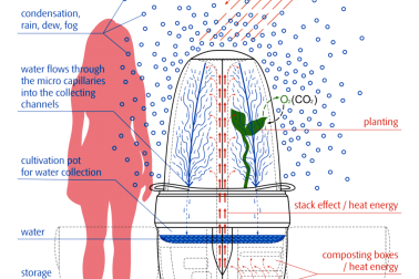 schema