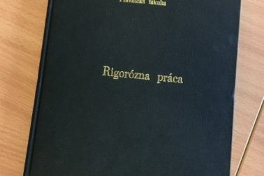 rigorozna praca