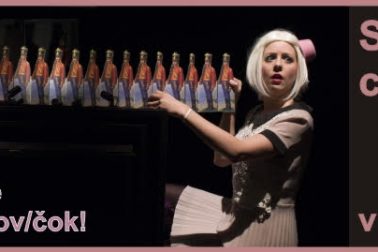 statocny cinovy vojacik