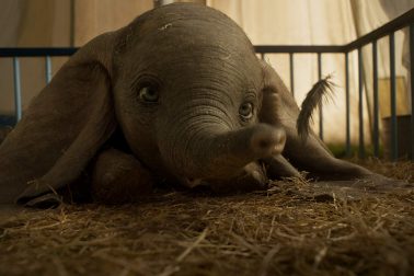 dumbo-03