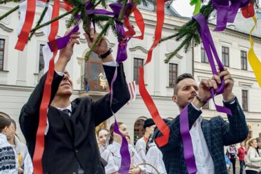 58814608_1102527236600918_9191408714144284672_n