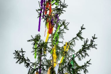 58905995_1102527179934257_4424476352569147392_n