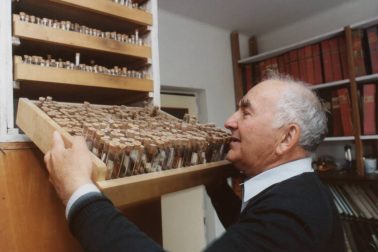 Jan Patočka so zbierkou kukliel motýľov
