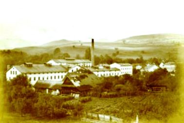 slovenka1