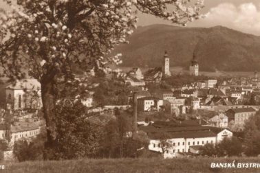 slovenka2