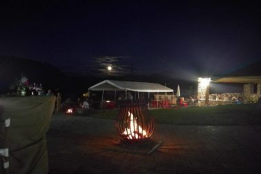farma9