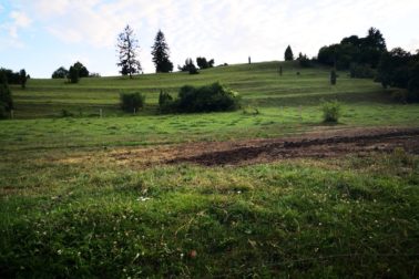 IMG_20190706_193846_resized_20190706_083409497