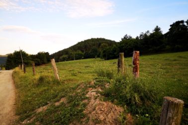 IMG_20190706_193857_resized_20190706_083421920