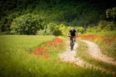 02DG0923 Merida 2017