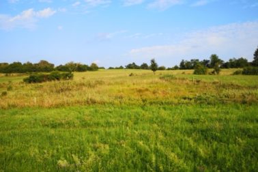 IMG_20190810_181908_resized_20190810_082407181