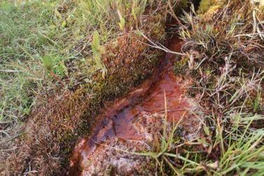 IMG_20190810_182122_resized_20190810_082316260