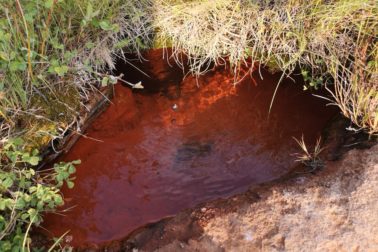 IMG_20190810_182147_resized_20190810_082300771