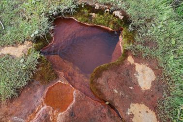 IMG_20190810_182236_resized_20190810_082247591