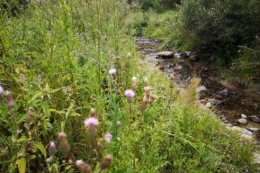 IMG_20190817_134714_resized_20190817_111638506