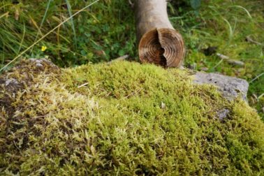 IMG_20190817_135523_resized_20190817_111710909