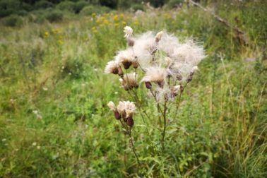 IMG_20190817_140138_resized_20190817_111746613