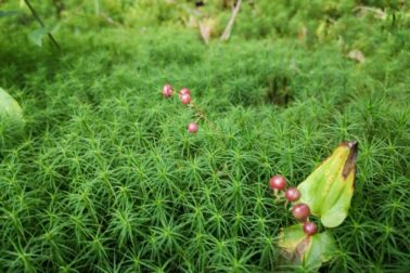 IMG_20190817_140722_resized_20190817_111800234