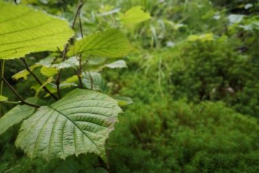 IMG_20190817_140757_resized_20190817_111815360