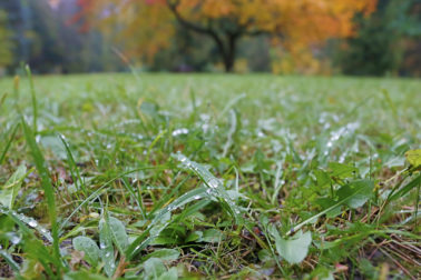 MG_1607-1