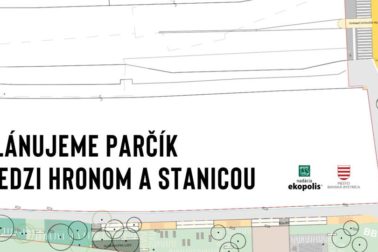 parcik plan