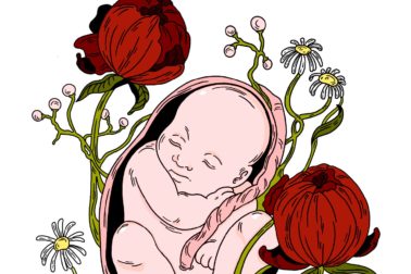 Zázrak zo skúmavky