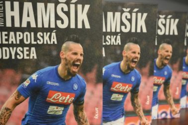 hamsik1