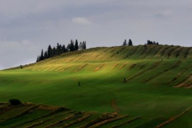 foto1