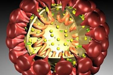 koronavirus