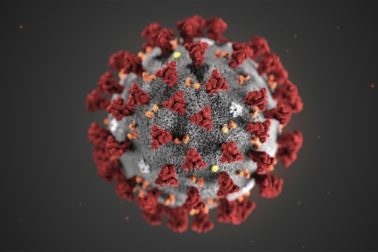 koronavirus