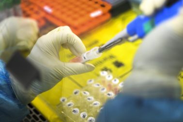 koronavirus5