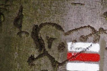 oznacenie chodnikov3