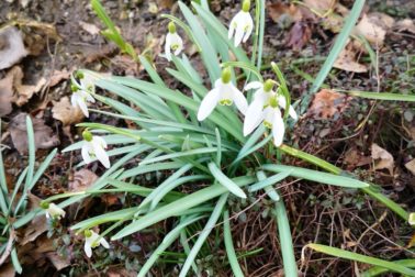 IMG_20200314_115839_resized_20200314_113857148