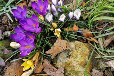 IMG_20200314_115911_resized_20200314_113918059