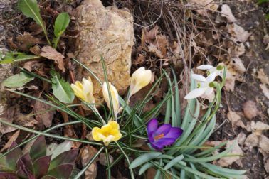 IMG_20200314_115930_resized_20200314_113942588