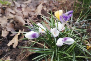 IMG_20200314_120055_resized_20200314_113958756