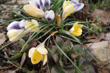 IMG_20200314_120114_resized_20200314_114028125