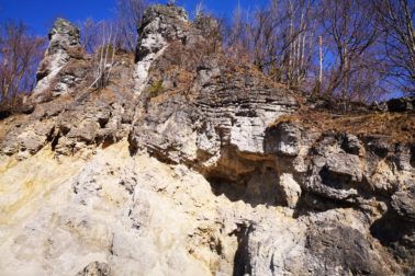 IMG_20200314_124924_resized_20200314_114124526