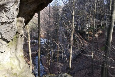 IMG_20200314_132202_resized_20200314_114142622