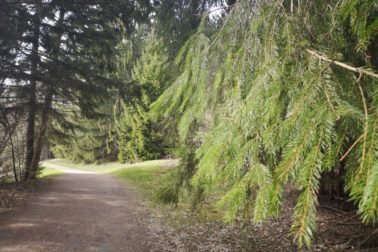 IMG_20200424_163327_resized_20200425_105058268