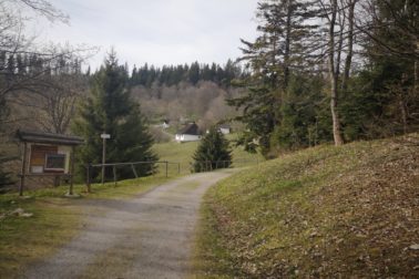 IMG_20200424_163635_resized_20200425_105148963