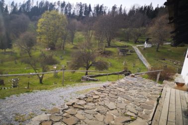 IMG_20200424_164031_resized_20200425_105244912