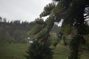 IMG_20200501_141013_resized_20200502_105608371